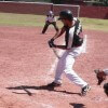 Softbol